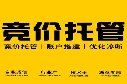 SEM竞价入门，案例教学助力成长